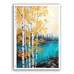 VIEWS-0211. Carta di Riso paesaggi per decoupage