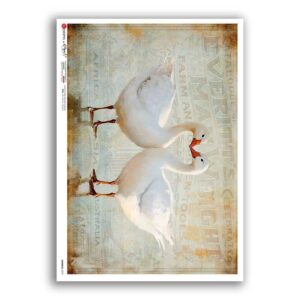 ANIMALS-0278. Carta di riso animali per decoupage.