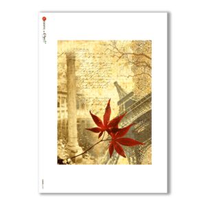 ALBUM-L-0007. Carta di riso album per decoupage.