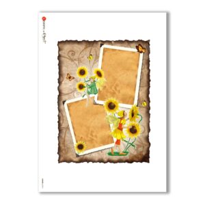 ALBUM-L-0076. Carta di riso album per decoupage.