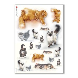 ANIMALS-0037. Carta di riso animali per decoupage.
