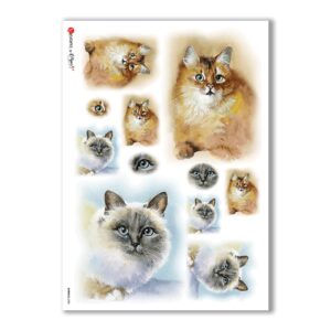 ANIMALS-0038. Carta di riso animali per decoupage.