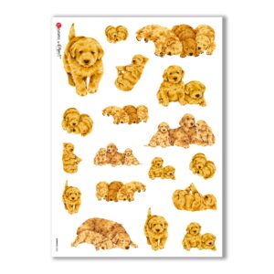 ANIMALS-0042. Carta di riso animali per decoupage.