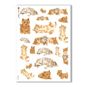 ANIMALS-0043. Carta di riso animali per decoupage.