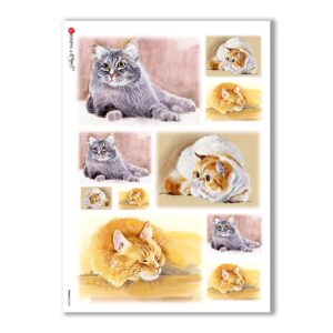 ANIMALS-0045. Carta di riso animali per decoupage.