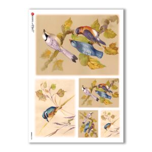 ANIMALS-0054. Carta di riso animali per decoupage.