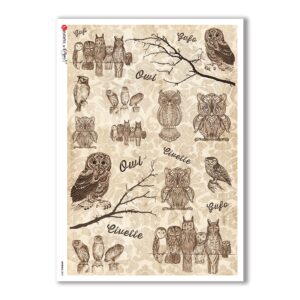 ANIMALS-0061. Carta di riso animali per decoupage.