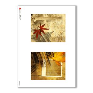 ALBUM-S-0004. Carta di riso album small per decoupage