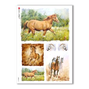 ANIMALS-0071. Carta di riso animali per decoupage.
