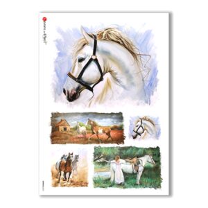 ANIMALS-0072. Carta di riso animali per decoupage.