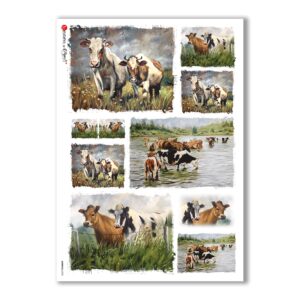 ANIMALS-0078. Carta di riso animali per decoupage.