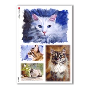 ANIMALS-0080. Carta di riso animali per decoupage.