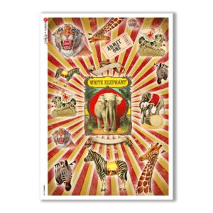 ANIMALS-0086. Carta di riso animali per decoupage.