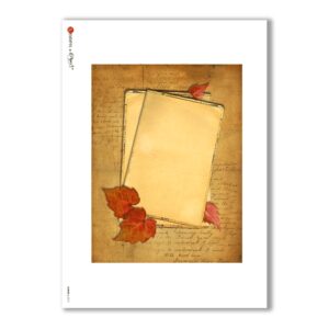 ALBUM-L-0010. Carta di riso album per decoupage.