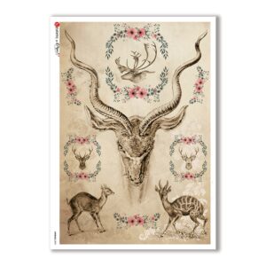 ANIMALS-0095. Carta di riso animali per decoupage.