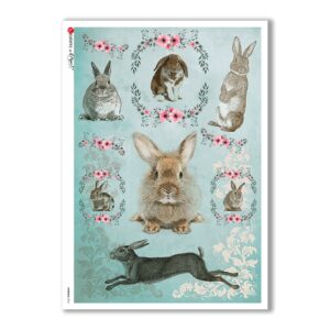 ANIMALS-0096. Carta di riso animali per decoupage.