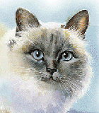 Animali