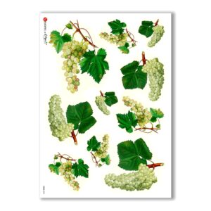 FOOD-0003. Carta di riso cucina per decoupage.