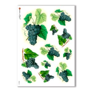 FOOD-0004. Carta di riso cucina per decoupage.
