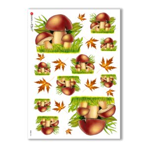 FOOD-0006. Carta di riso cucina per decoupage.