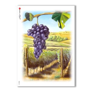 FOOD-0008. Carta di riso cucina per decoupage.