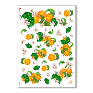 FOOD-0009. Carta di riso cucina per decoupage.