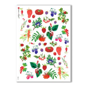 FOOD-0013. Carta di riso cucina per decoupage.