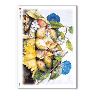 FOOD-0016. Carta di riso cucina per decoupage.