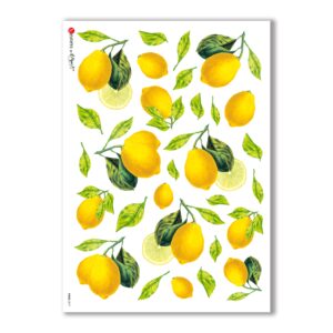 FOOD-0017. Carta di riso cucina per decoupage.