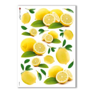 FOOD-0020. Carta di riso cucina per decoupage.