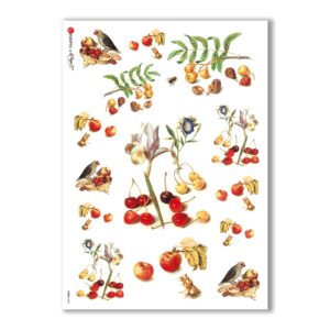 FOOD-0028. Carta di riso cucina per decoupage.