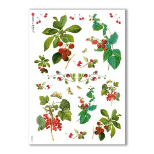 FOOD-0029. Carta di riso cucina per decoupage.