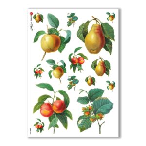 FOOD-0030. Carta di riso cucina per decoupage.