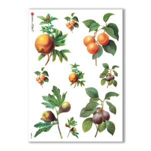 FOOD-0031. Carta di riso cucina per decoupage.