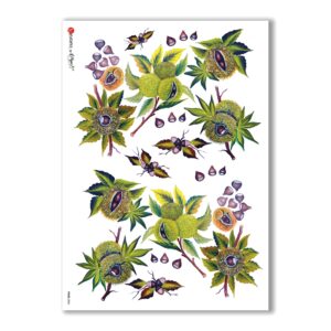 FOOD-0036. Carta di riso cucina per decoupage.