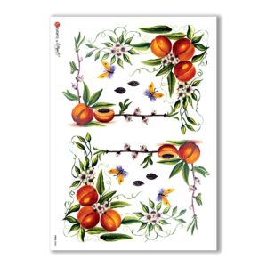 FOOD-0040. Carta di riso cucina per decoupage.