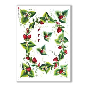 FOOD-0041. Carta di riso cucina per decoupage.