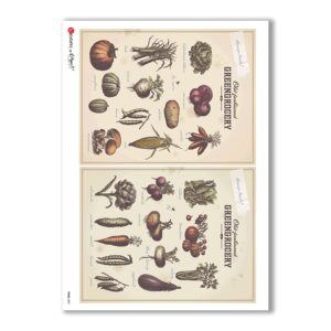 FOOD-0051. Carta di riso cucina per decoupage.