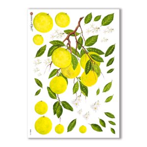 FOOD-0106. Carta di riso cucina per decoupage.