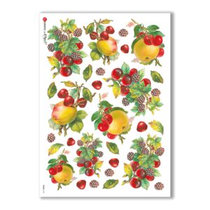 FOOD-0109. Carta di riso cucina per decoupage.