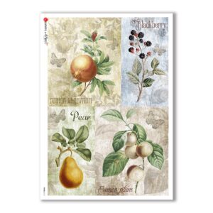 FOOD-0112. Carta di riso cucina per decoupage.