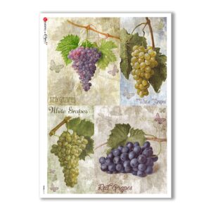FOOD-0113. Carta di riso cucina per decoupage.