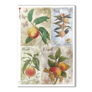 FOOD-0114. Carta di riso cucina per decoupage.