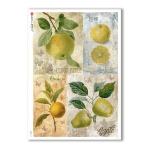 FOOD-0115. Carta di riso cucina per decoupage.