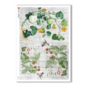 FOOD-0117. Carta di riso cucina per decoupage.