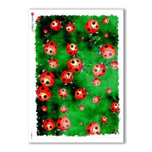 PATTERN-0011. Carta di riso texture per decoupage.