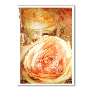 PATTERN-0027. Carta di riso texture per decoupage.