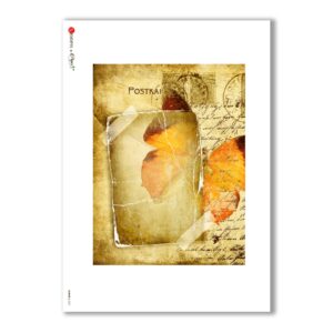 ALBUM-L-0021. Carta di riso album per decoupage.