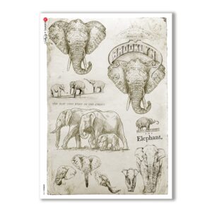 ANIMALS-0108. Carta di riso animali per decoupage.