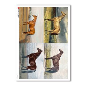 ANIMALS-0110. Carta di riso animali per decoupage.
